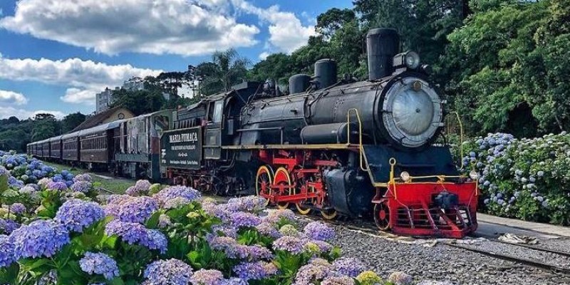 Tour Trem e Vinho - Com Trem Maria Fumaça e Epopeia Italiana!