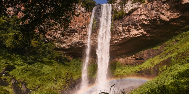 Tour Pé da Cascata Explorer pela MANHÃ - Cascata do Caracol