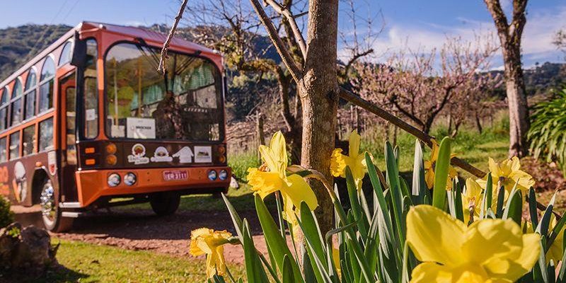 Tour O Quatrilho com Almoço - Agroturismo de Gramado
