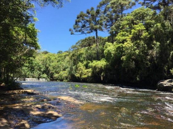 Parque Estadual do Caracol - Foto 4 de 1