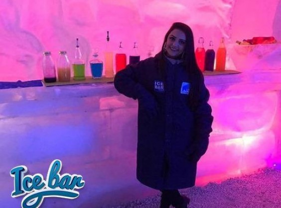 Ice Bar Mundo Gelado - Foto 8 de 1