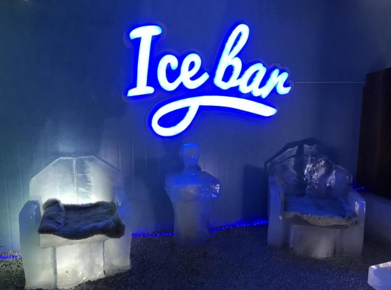 Ice Bar Mundo Gelado - Foto 4 de 1