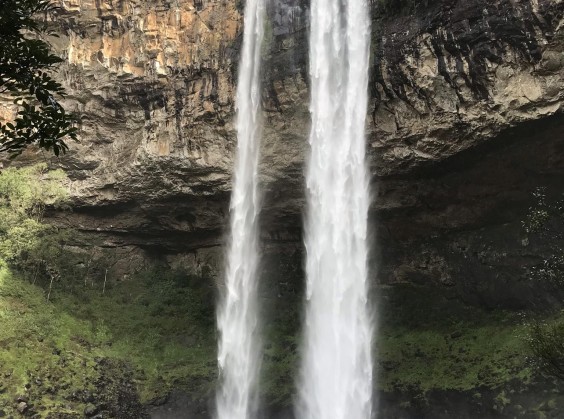 Pé da Cascata Explorer - Foto 5 de 1