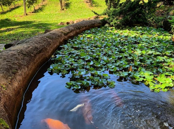 Vinícola Granja Da Telha - Foto 8 de 1