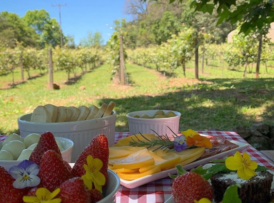 Vinícola Granja Da Telha - Foto 7 de 1