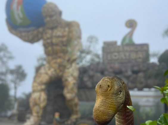 Parque Terra Mágica Florybal - Foto 6 de 1