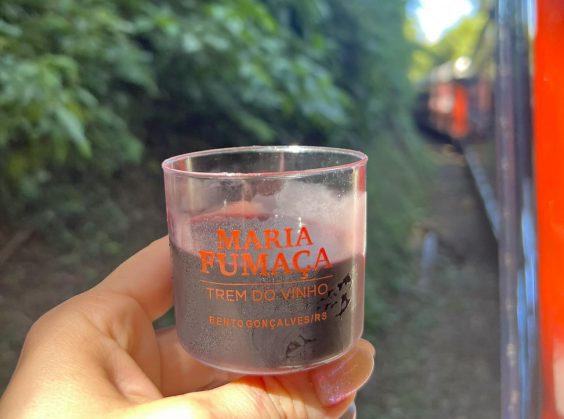 Tour Trem e Vinho – Maria Fumaça e Epopeia Italiana - Foto 3 de 1