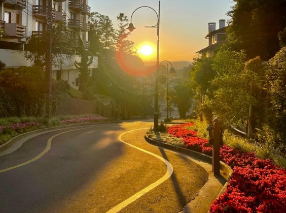 Rua Torta em Gramado - Foto 8 de 1