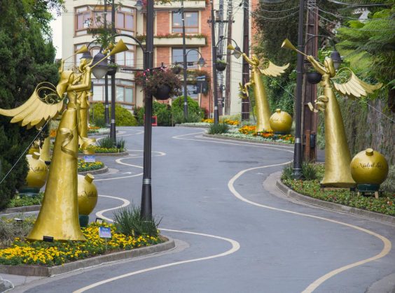 Rua Torta em Gramado - Foto 3 de 1