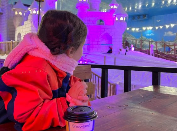 Snowland - Foto 1 de 1