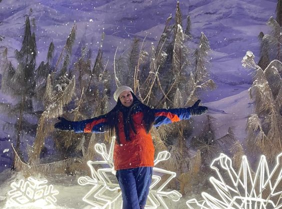 Snowland - Foto 28 de 1