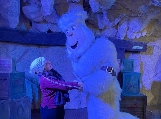 Snowland - Foto 11 de 1