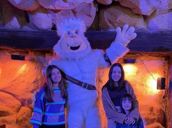 Snowland - Foto 30 de 1