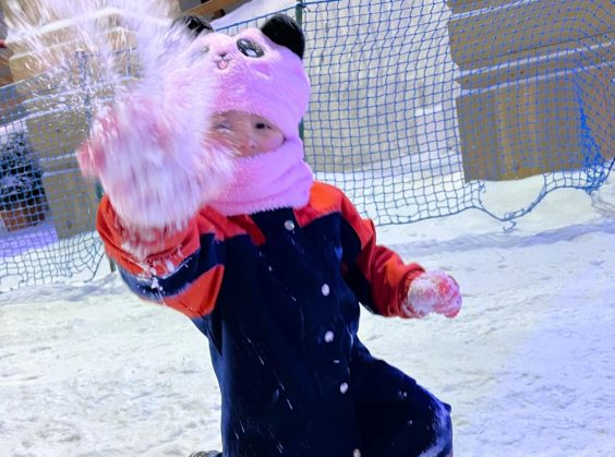 Snowland - Foto 13 de 1