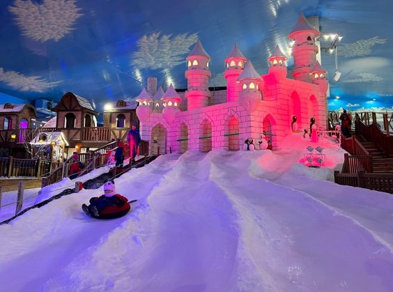 Snowland - Foto 14 de 1