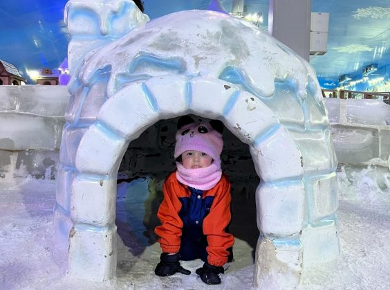 Snowland - Foto 15 de 1
