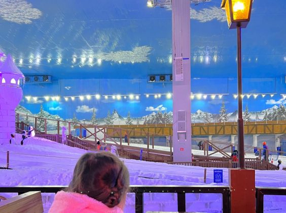 Snowland - Foto 32 de 1