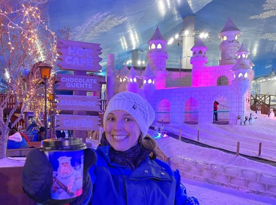 Snowland - Foto 16 de 1