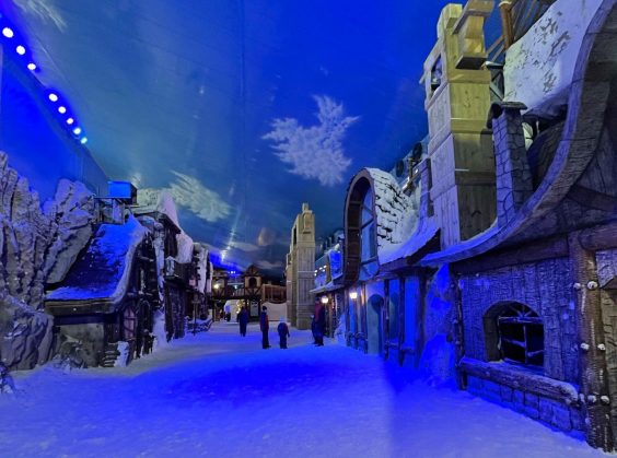 Snowland - Foto 5 de 1