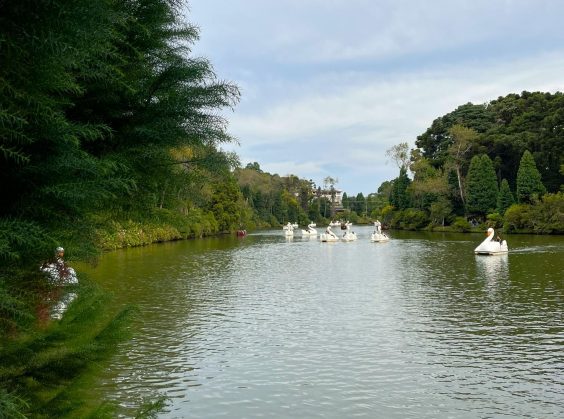 Lago Negro - Foto 7 de 1